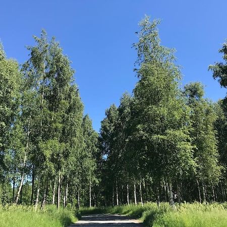 Stort hus i Porsgrunn sentrum med gratis parkeringsplasser til flere biler Eksteriør bilde