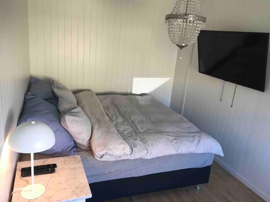 Stort hus i Porsgrunn sentrum med gratis parkeringsplasser til flere biler Eksteriør bilde