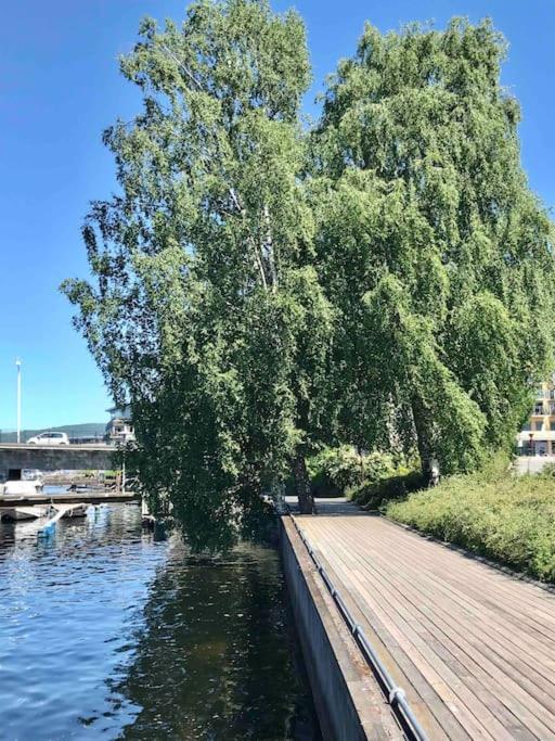 Stort hus i Porsgrunn sentrum med gratis parkeringsplasser til flere biler Eksteriør bilde
