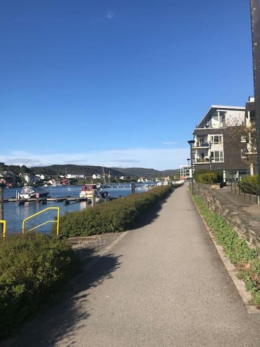 Stort hus i Porsgrunn sentrum med gratis parkeringsplasser til flere biler Eksteriør bilde